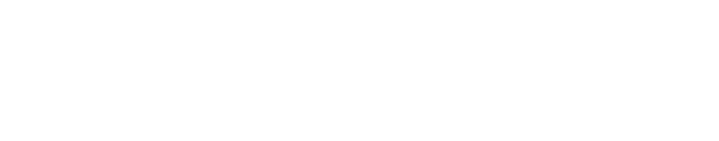 VinSolutions